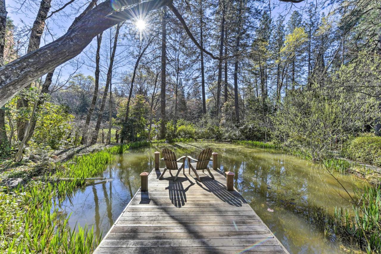 Peaceful Grass Valley Cottage With Bbq Grill And Yard! Экстерьер фото