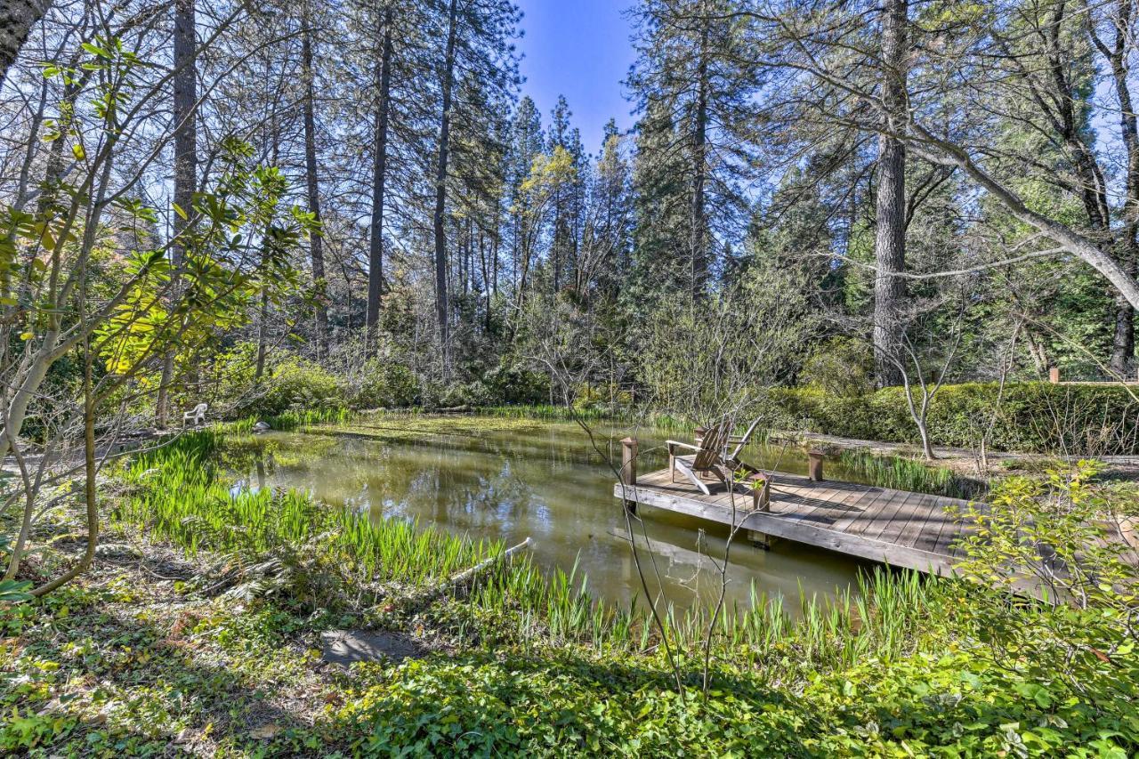 Peaceful Grass Valley Cottage With Bbq Grill And Yard! Экстерьер фото